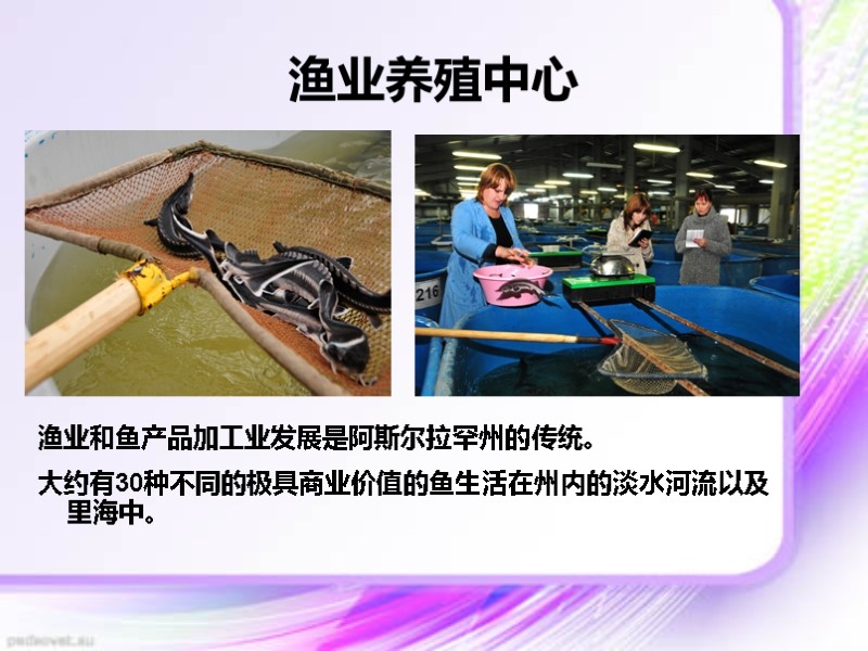 渔业养殖中心 渔业和鱼产品加工业发展是阿斯尔拉罕州的传统。 大约有30种不同的极具商业价值的鱼生活在州内的淡水河流以及里海中。